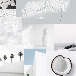 Meet your Posher, Monica